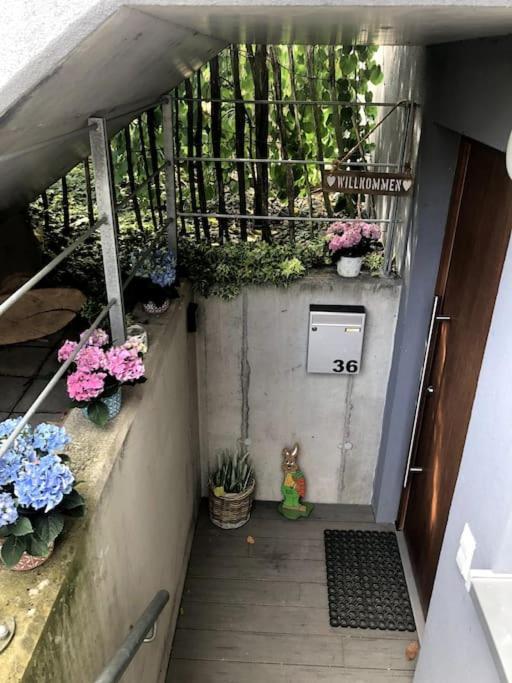 Wohnung In Gehobener Lage Брухзал Екстериор снимка